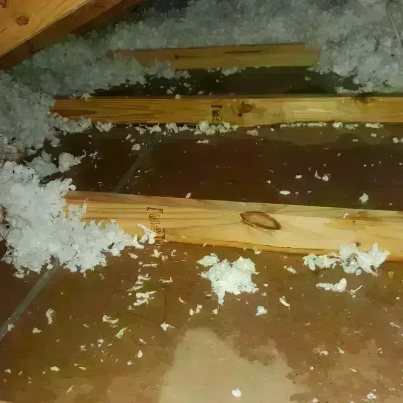 Attic Water Damage in Milton, WI