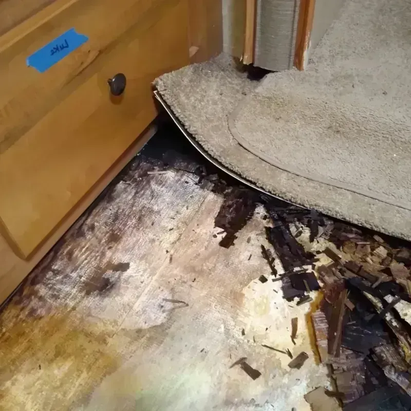 Wood Floor Water Damage in Milton, WI